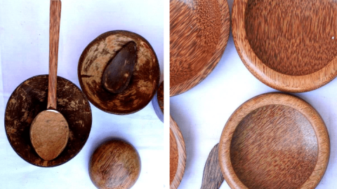 Coconut Craft