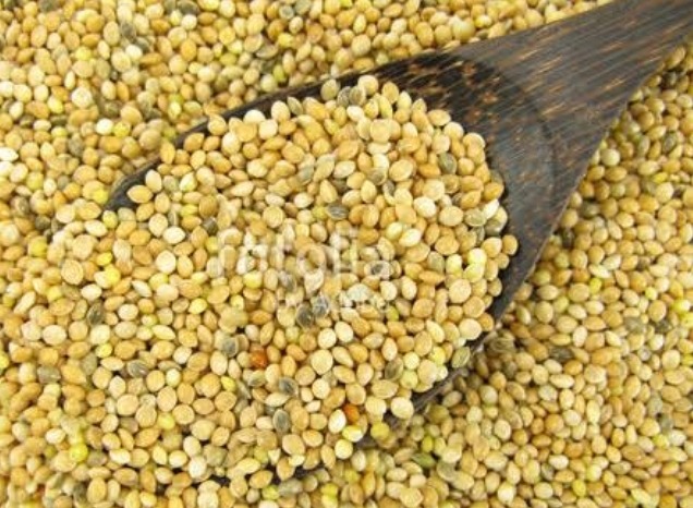 types-of-millets-varieties-of-millets-different-kinds-of-millets