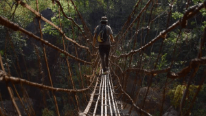 The root bridges of Cherrapunji