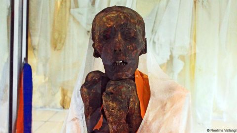Mummy of Sangha Tenzin