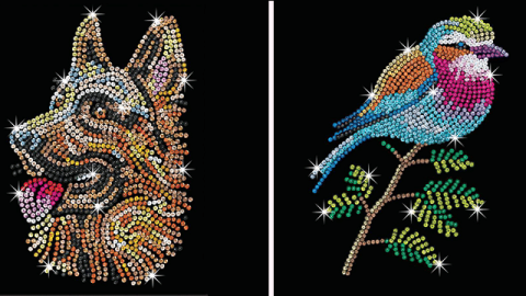 Beautiful Sequin Designs of Dog (left) and sparrow (right)