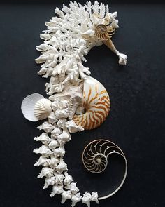 shell craft