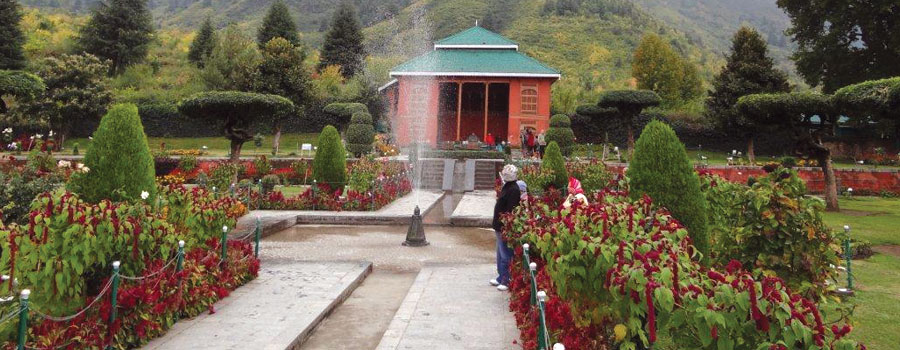 Chashme Shahi Garden in Srinagar