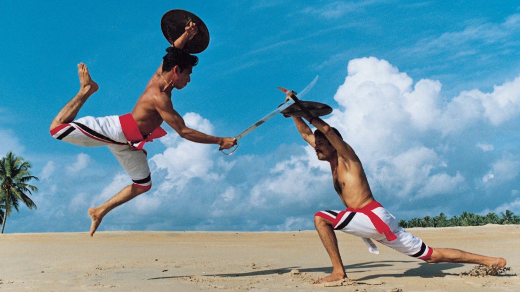 kalaripayattu practitioners were also skilled in traditional medicine and massage