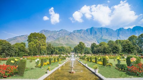Mughal Gardens in Srinagar