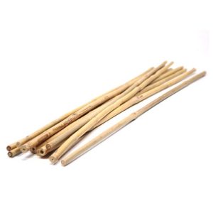 Martial Art : Bamboo sticks